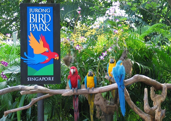 Đảo Jurong Singapore